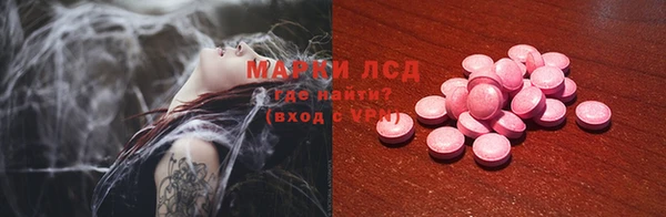 PSILOCYBIN Коряжма