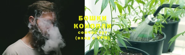 mdpv Краснослободск