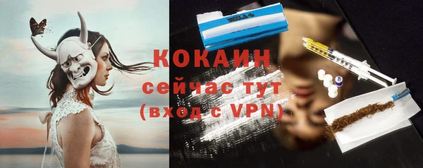 mdpv Краснослободск