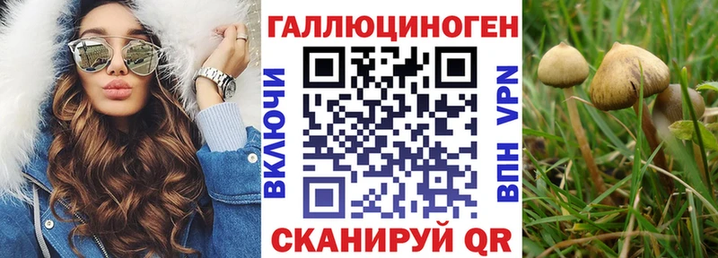 купить закладку  МЕГА маркетплейс  Галлюциногенные грибы Psilocybine cubensis  Медвежьегорск 